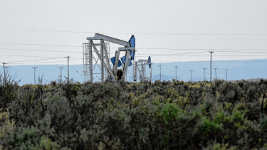 Capex va por Vaca Muerta sin descuidar su base en el petróleo convencional