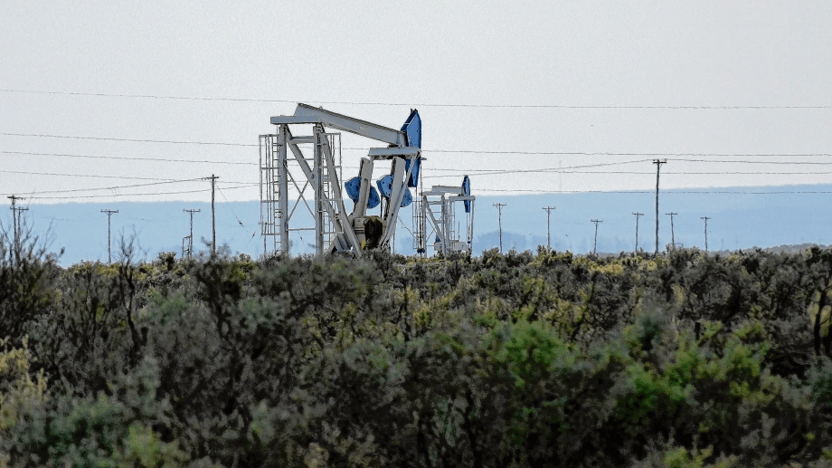 Capex recibió un permiso de la Provincia en 2020. (Foto: archivo Florencia Salto)