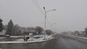 Mirá las fotos de la nevada con la que amanecieron Neuquén y Río Negro