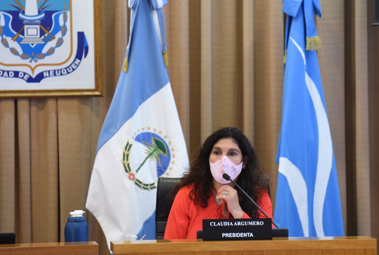 Claudia Argumero dijo que no se altera el espíritu de la Carta Orgánica de Neuquén.  Foto archivo: Florencia Salto
