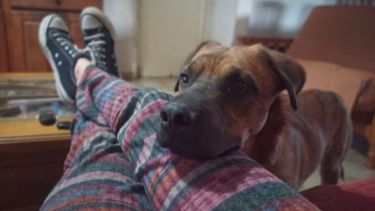 Hoy saludamos a Rafles, con su cara de pedir "salir a pasear" a Paula. Acordate! Podes presentarnos a tu mascota en redes.-