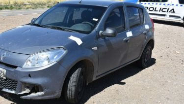 Dos hermanos fueron detenidos en Zapala por cazar ciervos en Junín de los Andes. (Foto: Gentileza).