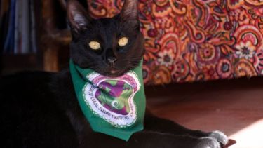 Hoy saludamos a Berta, que disfruta el sol primaveral. Acordate! Podes presentarnos a tu mascota en redes.-