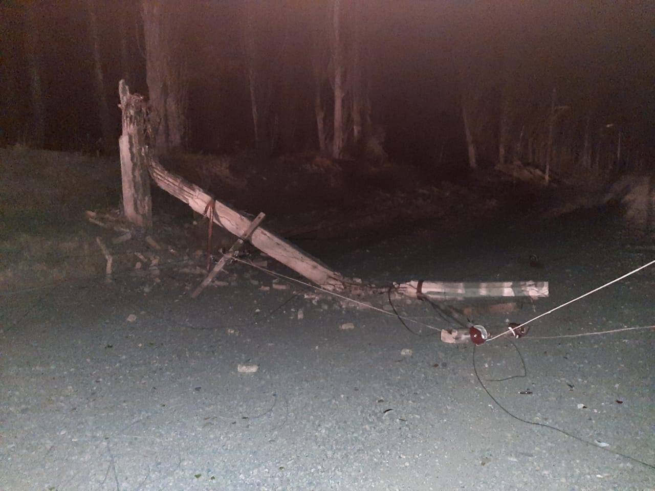 La caída de un arbol provocó el corte del suministro eléctrico en la zona rural de Regina. (Foto gentileza)