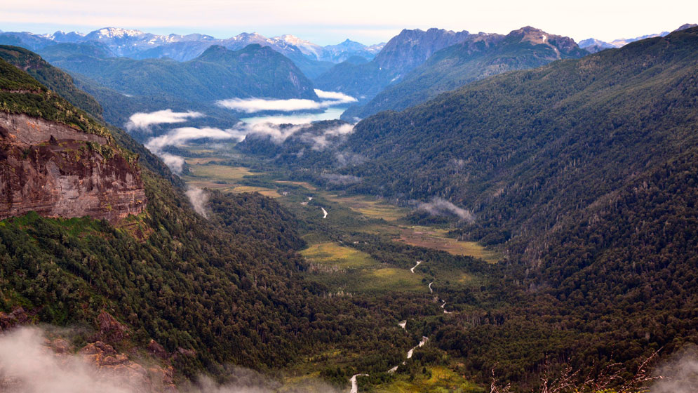 El valle del Río Frías, fue uno de los sitios estudiados,  Tiene especies longevas mayormente.  Foto: Gentileza Conicet