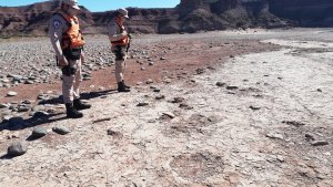 Video: las huellas de dinosaurios en El Chocón filmadas desde un drone
