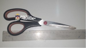 Un hombre golpeó a un ladrón y lo retuvo hasta que llegó la policía en Neuquén