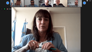 La comisión de Presupuesto funcionó el martes de manera virtual a raíz de la pandemia. 