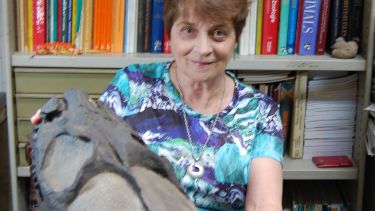 Fósiles. La paleontóloga Gasparini halló reptiles marinos en formación Vaca Muerta años atrás.  Créditos: Belén von Baczko.