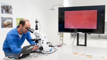 Diego Libkind es líder del equipo que descubrió la especie de levadura Euby, que es la madre de la levadura con la que se produce la cerveza Lager. Ahora se sabe dónde hay poblaciones de Euby en diferentes lugares del mundo. Foto: gentileza