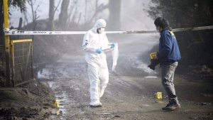 Matan a disparos a un hombre en presunto ataque mapuche en el sur de Chile