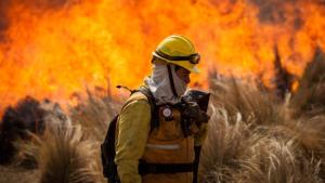 Recuperarán áreas quemadas en Santa Fe y Córdoba con plantines de Misiones