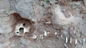Un esqueleto hallado en la Isla Jordán sería de interés arqueológico