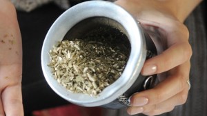 Se redujo el consumo de yerba mate durante los primeros nueve meses del año