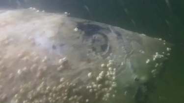 No hubo heridos ni estructuras dañadas tras la explosión . Foto: Gentileza Poland MOD