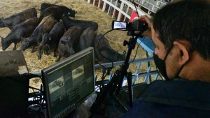 Un cambio generacional en el ámbito ganadero