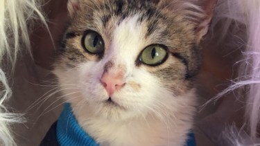 Hoy saludamos a Juanito, que fue rescatado en Godoy y hoy vive en Regina.  ¡Acordate! Podés presentarnos a tu mascota en redes, para que salga en el pronóstico.-