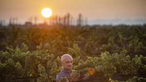 Del Chañar a la India y de ahí a la viña propia para hacer vinos y espumantes