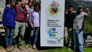 El avance del monocultivo de soja amenaza la producción de miel en Argentina