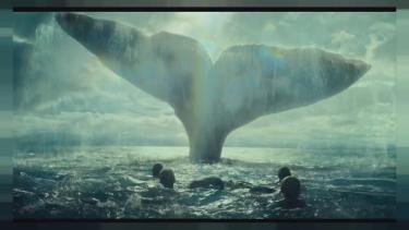 Herman Melville se inspiró en el relato de un sobreviviente para escribir la novela "Moby Dick"..