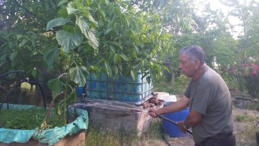Don Segundo, regando en su pequeño espacio de felicidad, donde pasa sus días entre flores.