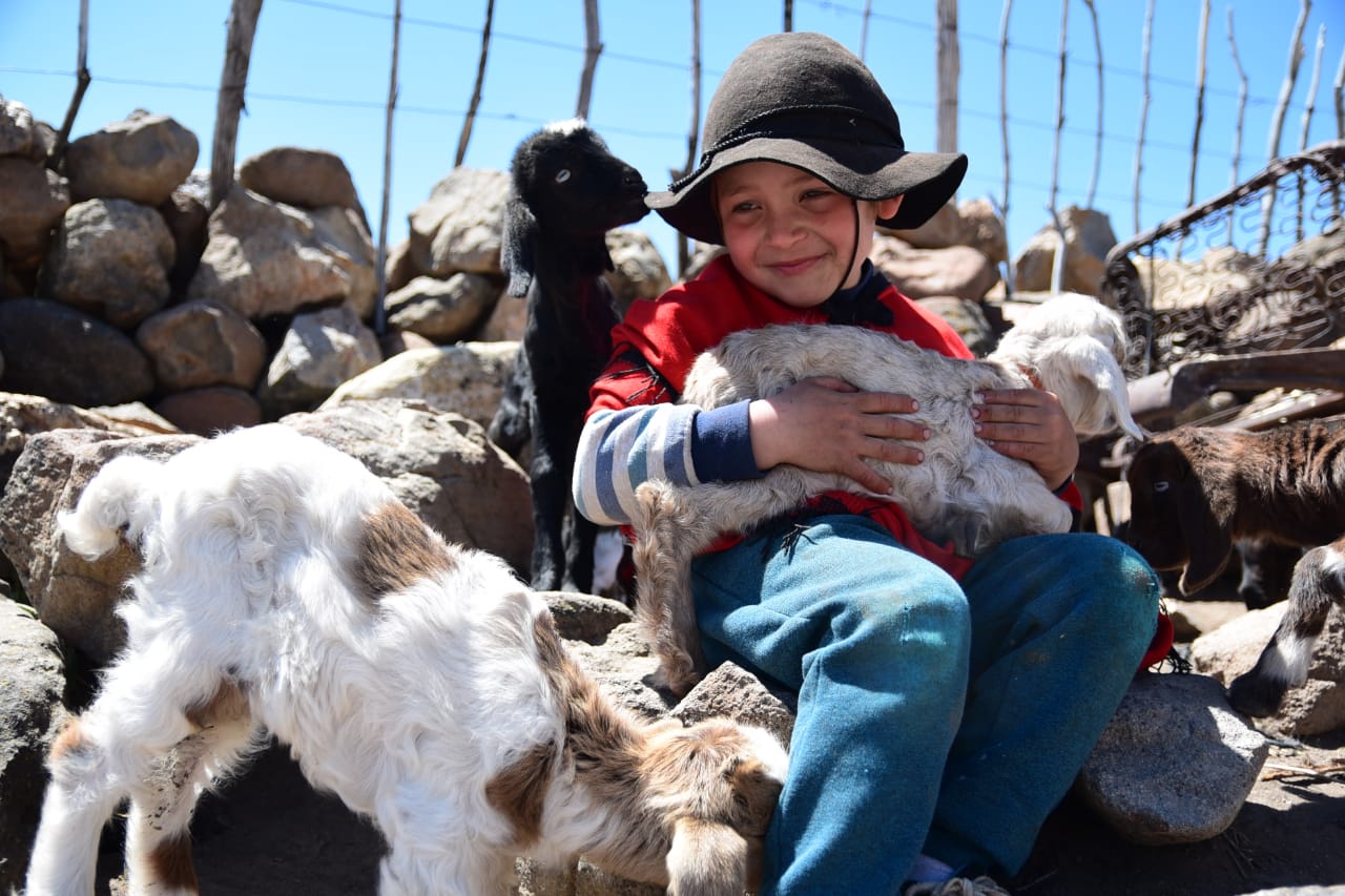 Joaco tiene seis años. Aquí, con uno de los chivitos nacidos en octubre en Las Ramadillas, a 15 km de Varvarco en el norte neuquino. Foto: Martín Muñoz.