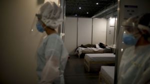 Coronavirus: otras 283 personas murieron y se informaron 8.593 casos