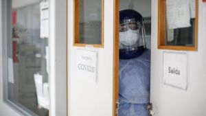 Coronavirus: murieron otras 248 personas y se detectaron 11.100 nuevos casos en el país