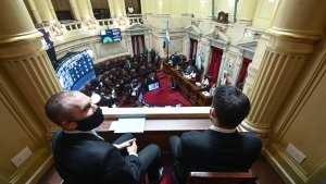 El Senado ya debate el Presupuesto 2021 con la presencia de Guzmán