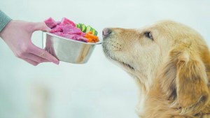 Ideas y consejos para una dieta natural y saludable