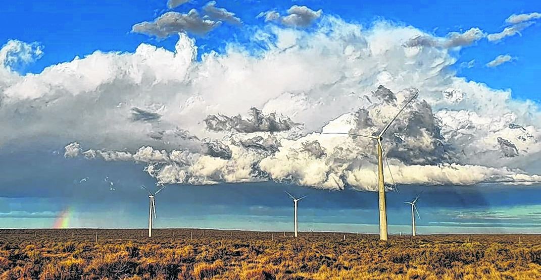 El parque eólico de Neuquén está en tierras provinciales y por ley fue exceptuado de todo impuesto local.