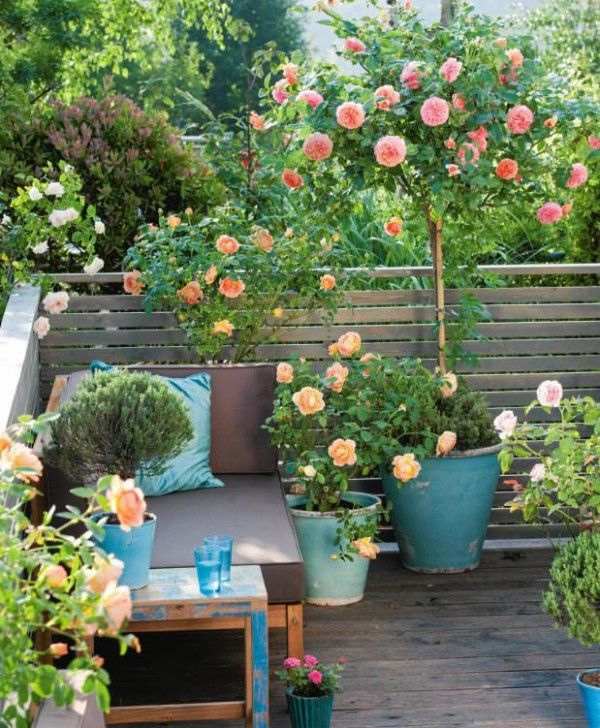 No hace falta tener un jardín. Los topiarios se lucen también en balcones y terrazas.  