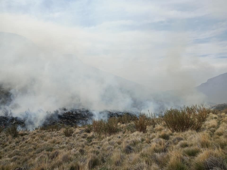 El fuego consumió varias hectáreas de pastizales. Foto: gentileza Mauro Traman.