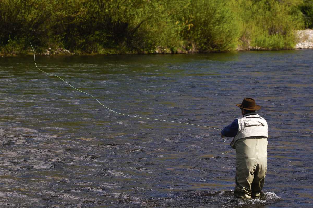 Se vendieron 15.000 permisos de pesca en la Zona Andina. Foto: archivo