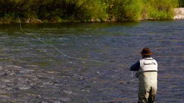 Se vendieron 15.000 permisos de pesca en la Zona Andina. Foto: archivo