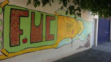 Fruticultores Unidos de Centenario (foto Yamil Regules)