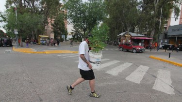 La mayoría de las personas que participaron del primer censo cannábico, usan la marihuana para situaciones de estrés, ansiedad, depresión y/o dolor físico. Foto archivo: Oscar Livera.