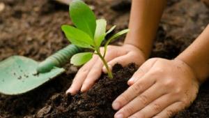 Hablemos sobre la importancia de la producción agroecológica