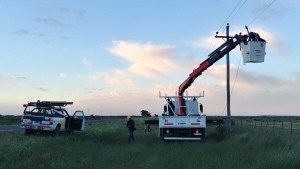 Trabajan sobre daños en el tendido eléctrico de diversas localidades de Río Negro