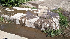Un duro informe revela falencias en el servicio de agua y cloacas en Viedma