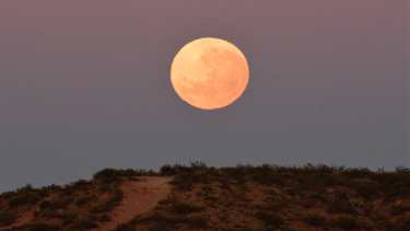 Un eclipse lunar es penumbral cuando la Luna entra en el cono de penumbra de la Tierra. La penumbra ocasiona un sutil oscurecimiento en la superficie luna. Foto: Alejandro Carnevale