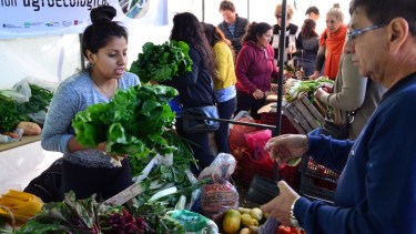 La Feria de Frutas y Verduras ubicada en bulevar Contín entre Moreno y Las Heras. Foto: Marcelo Ochoa.