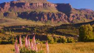 Nubosidad y buenas temperaturas este lunes: mirá el pronóstico para Río Negro y Neuquén