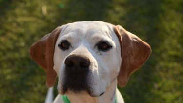 Pronóstico: así empieza diciembre este martes en la región