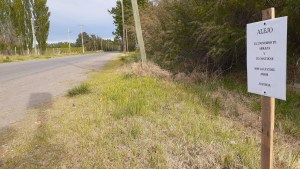 Construyen reductores de velocidad sobre una avenida en Regina