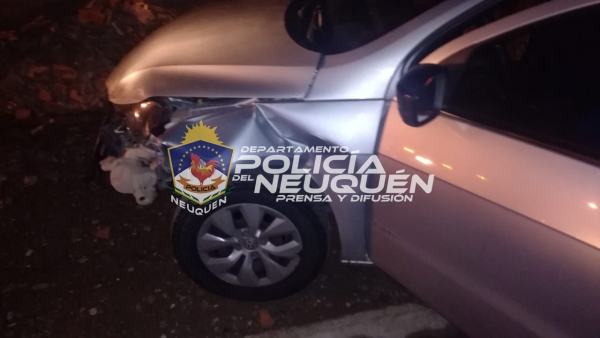 Un joven de 26 años chocó dos veces al intentar escapar de un control vehicular en Neuquén. (Foto: Gentileza).