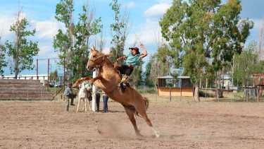 Exitosa jineteada virtual en Choele Choel. Foto: gentileza 