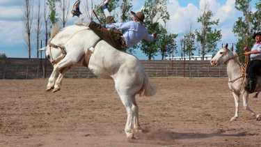 Exitosa jineteada virtual en Choele Choel. Foto: gentileza