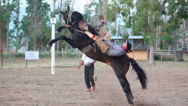 Exitosa jineteada virtual en Choele Choel. Foto: gentileza 