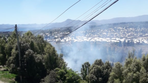 Hubo temor por un incendio forestal cerca de viviendas en Bariloche